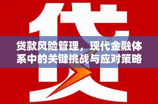 鸡泽贷款风险管理，现代金融体系中的关键挑战与应对策略