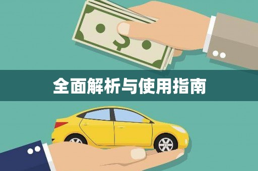 鸡泽全面解析与使用指南