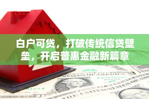 鸡泽白户可贷，打破传统信贷壁垒，开启普惠金融新篇章