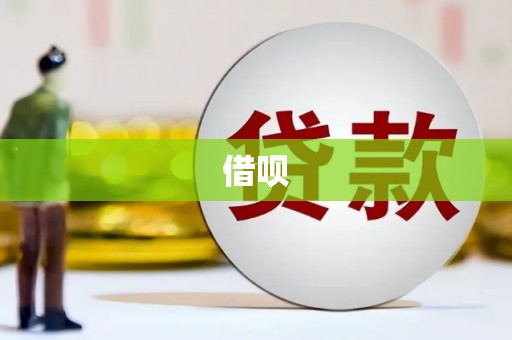 鸡泽借呗