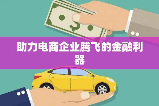 鸡泽助力电商企业腾飞的金融利器