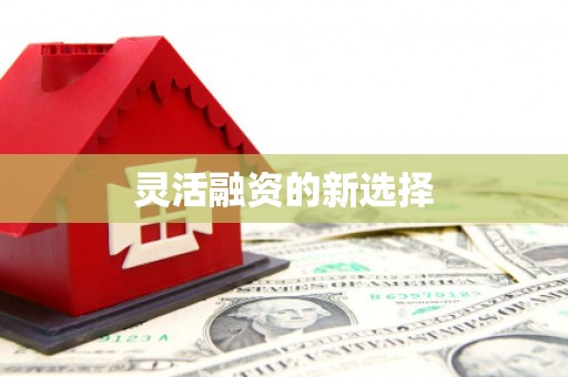 鸡泽灵活融资的新选择