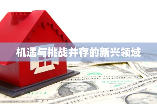 鸡泽机遇与挑战并存的新兴领域