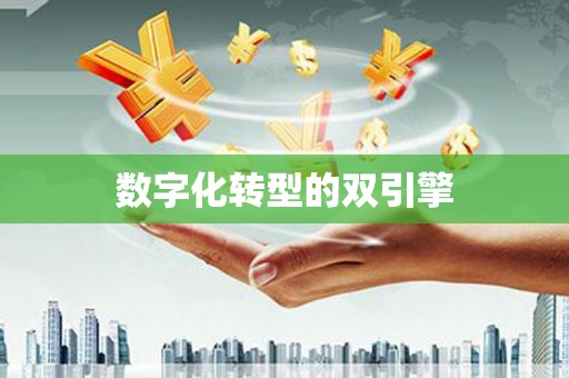 鸡泽数字化转型的双引擎