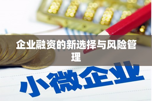 鸡泽企业融资的新选择与风险管理