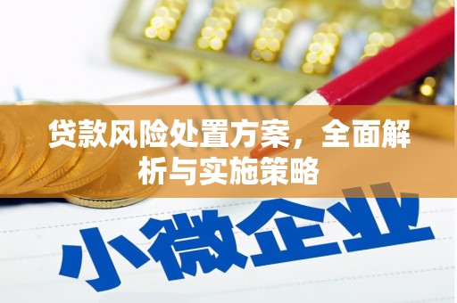 鸡泽贷款风险处置方案，全面解析与实施策略