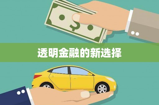 鸡泽透明金融的新选择