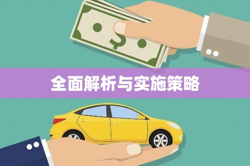 鸡泽全面解析与实施策略